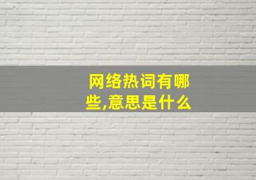 网络热词有哪些,意思是什么