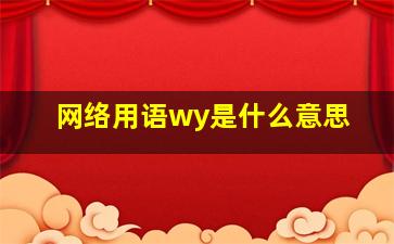 网络用语wy是什么意思