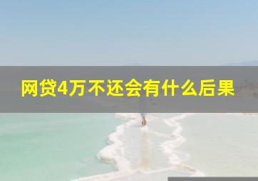 网贷4万不还会有什么后果