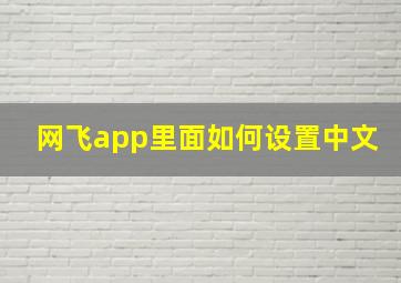 网飞app里面如何设置中文