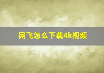 网飞怎么下载4k视频