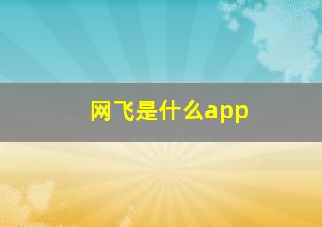 网飞是什么app