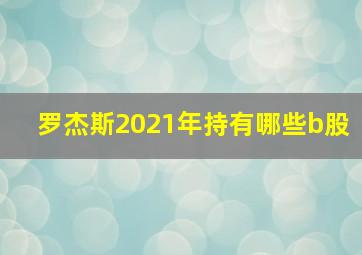 罗杰斯2021年持有哪些b股