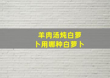 羊肉汤炖白萝卜用哪种白萝卜