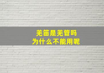 羌笛是羌管吗为什么不能用呢