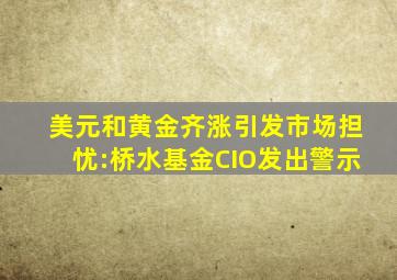 美元和黄金齐涨引发市场担忧:桥水基金CIO发出警示