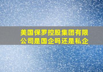 美国保罗控股集团有限公司是国企吗还是私企