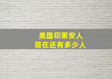 美国印第安人现在还有多少人