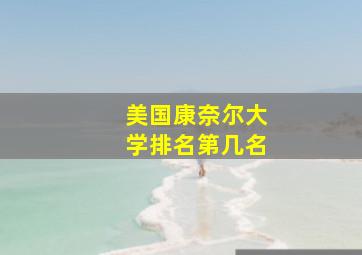 美国康奈尔大学排名第几名