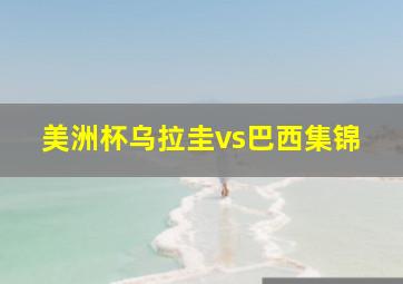 美洲杯乌拉圭vs巴西集锦