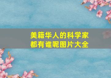 美籍华人的科学家都有谁呢图片大全