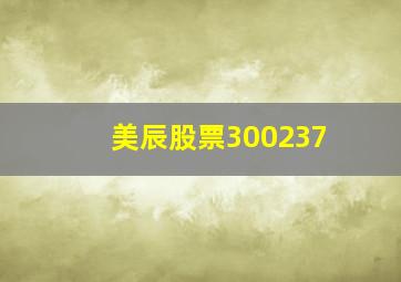 美辰股票300237