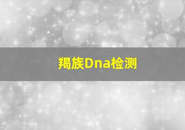 羯族Dna检测