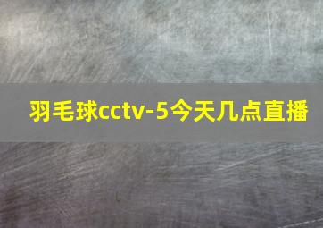 羽毛球cctv-5今天几点直播