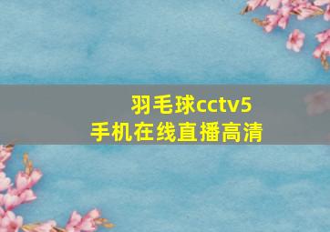 羽毛球cctv5手机在线直播高清