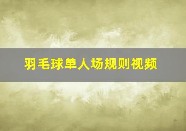 羽毛球单人场规则视频