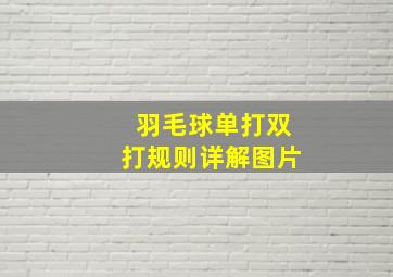 羽毛球单打双打规则详解图片