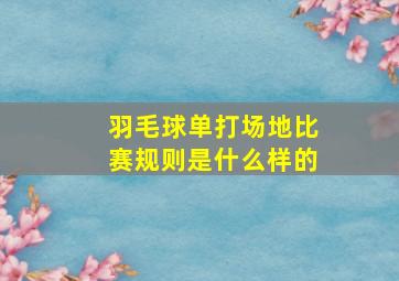 羽毛球单打场地比赛规则是什么样的