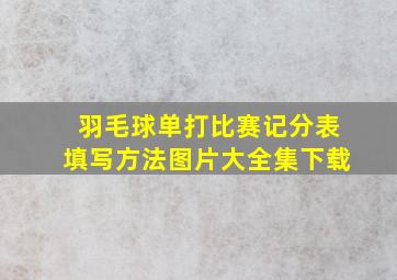 羽毛球单打比赛记分表填写方法图片大全集下载