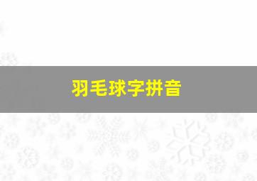 羽毛球字拼音