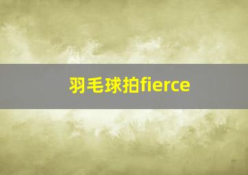 羽毛球拍fierce