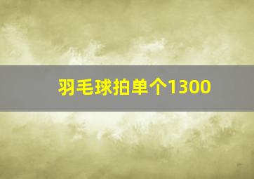 羽毛球拍单个1300