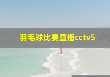 羽毛球比赛直播cctv5