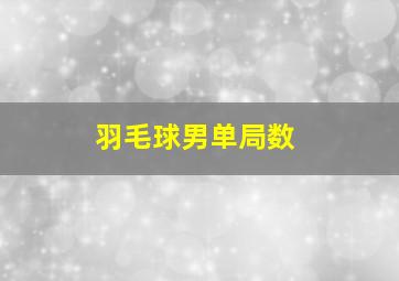 羽毛球男单局数