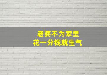 老婆不为家里花一分钱就生气