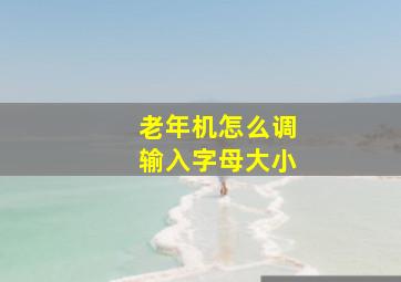 老年机怎么调输入字母大小