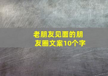 老朋友见面的朋友圈文案10个字