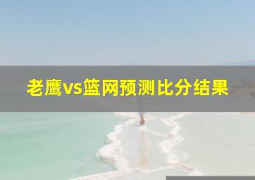 老鹰vs篮网预测比分结果