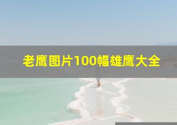 老鹰图片100幅雄鹰大全