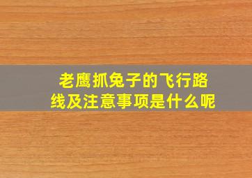 老鹰抓兔子的飞行路线及注意事项是什么呢