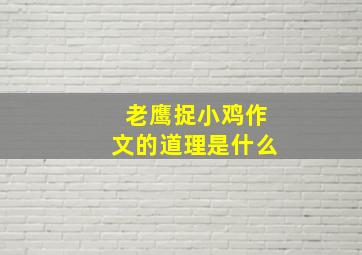 老鹰捉小鸡作文的道理是什么