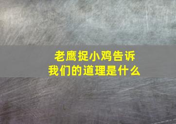 老鹰捉小鸡告诉我们的道理是什么