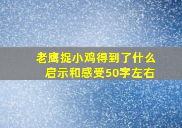 老鹰捉小鸡得到了什么启示和感受50字左右