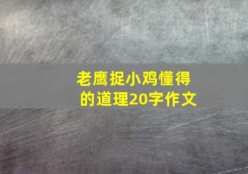 老鹰捉小鸡懂得的道理20字作文