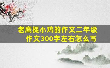 老鹰捉小鸡的作文二年级作文300字左右怎么写