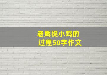 老鹰捉小鸡的过程50字作文