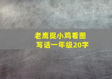 老鹰捉小鸡看图写话一年级20字