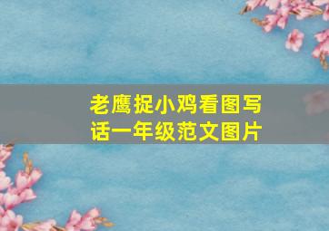 老鹰捉小鸡看图写话一年级范文图片