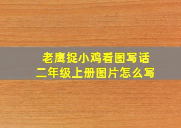 老鹰捉小鸡看图写话二年级上册图片怎么写