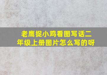 老鹰捉小鸡看图写话二年级上册图片怎么写的呀