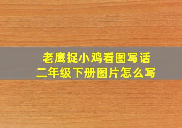 老鹰捉小鸡看图写话二年级下册图片怎么写