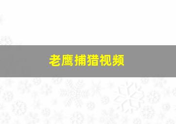 老鹰捕猎视频