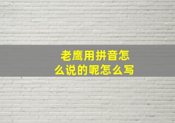 老鹰用拼音怎么说的呢怎么写