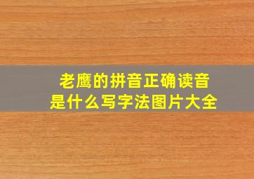 老鹰的拼音正确读音是什么写字法图片大全