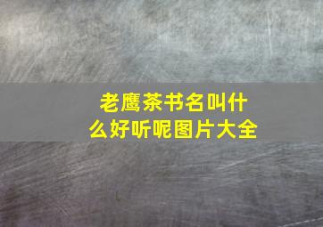 老鹰茶书名叫什么好听呢图片大全