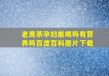 老鹰茶孕妇能喝吗有营养吗百度百科图片下载